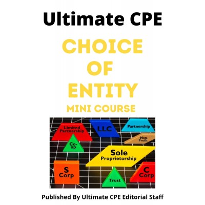 Choice Of Entity 2024 Mini Course